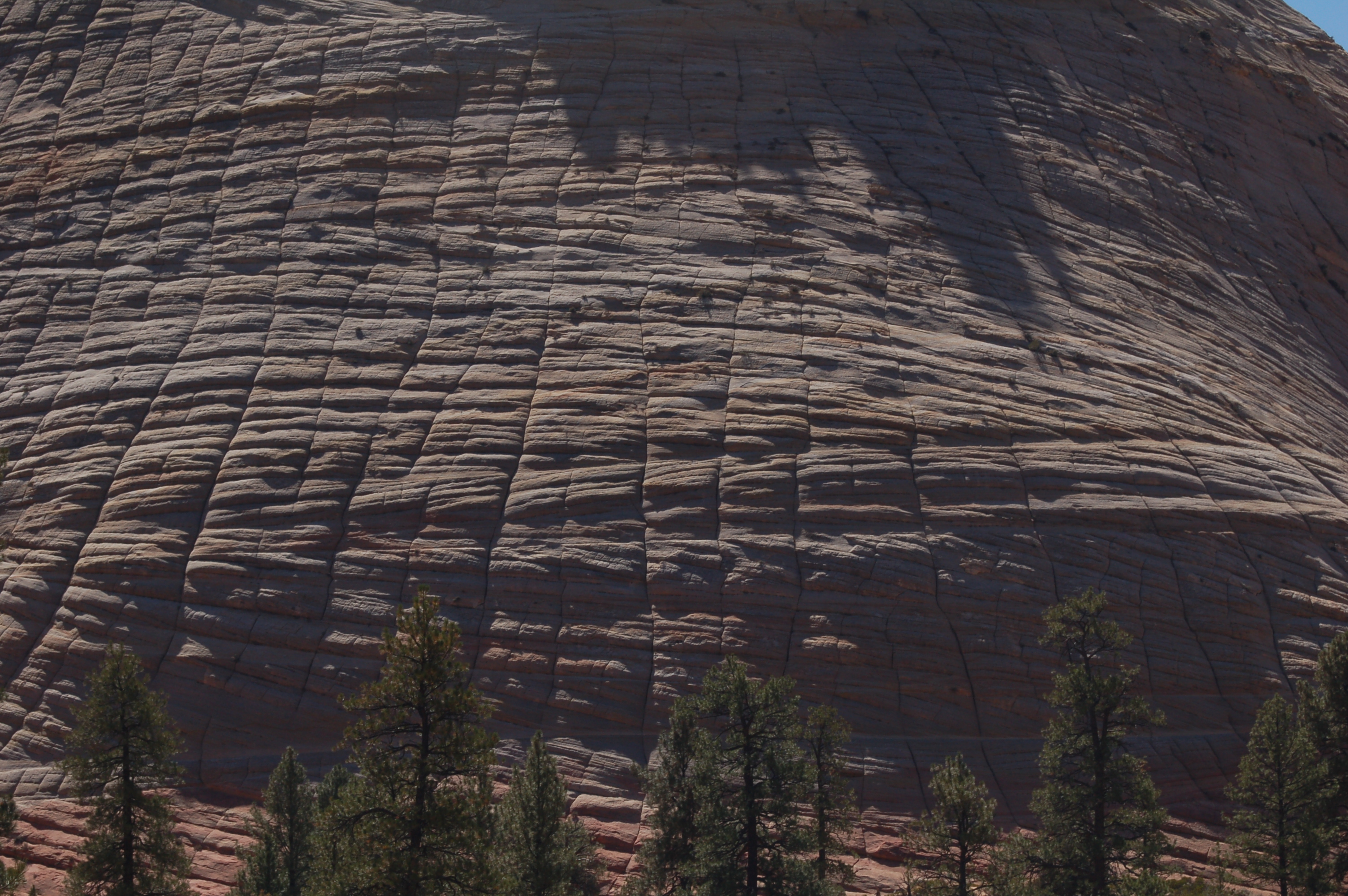 Checkerboard Mesa